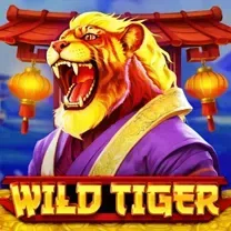 Download Do Aplicativo De Login Do Cryptorino Casino